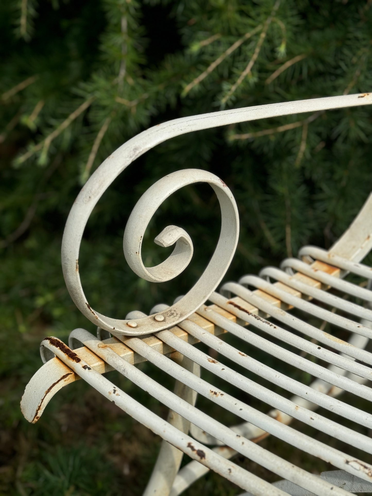 Vintage Arras Tree Bench