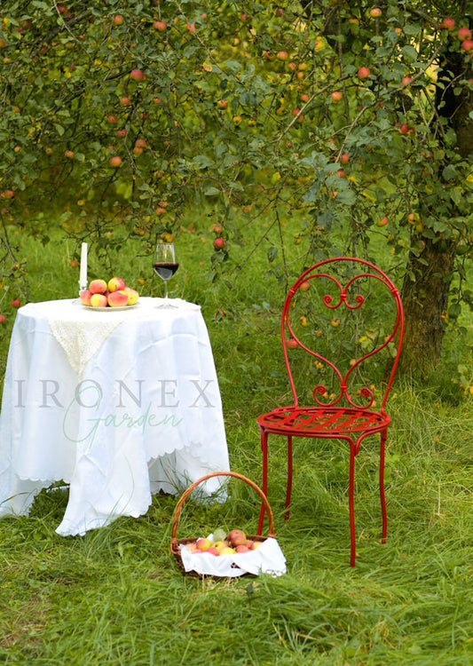 Romantic Wrought Iron Garden Chair