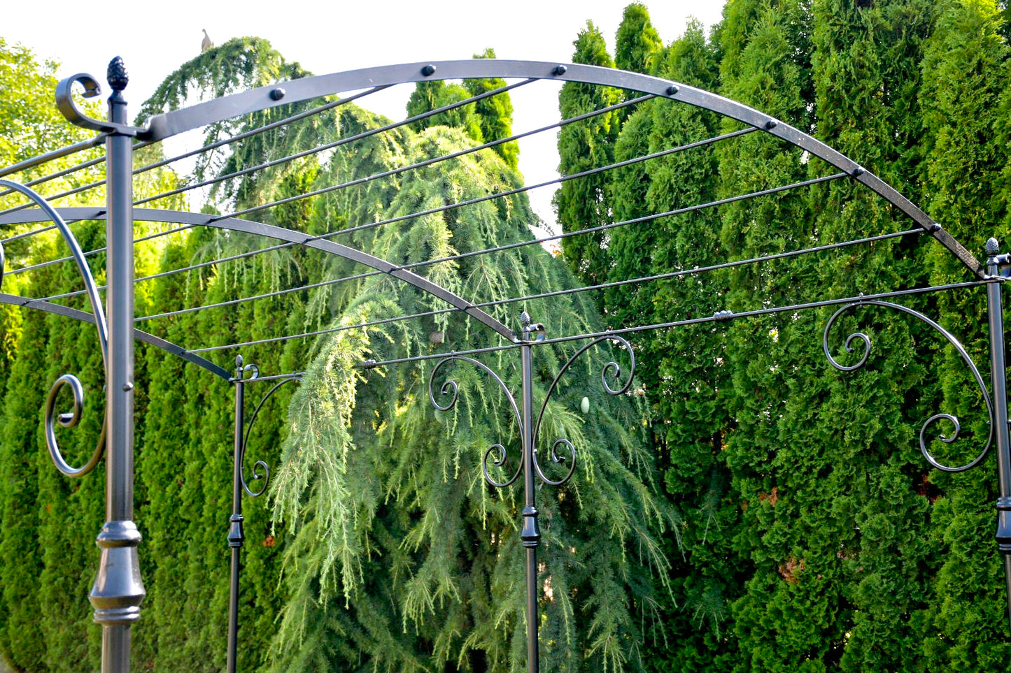 Pergola en fer forgé